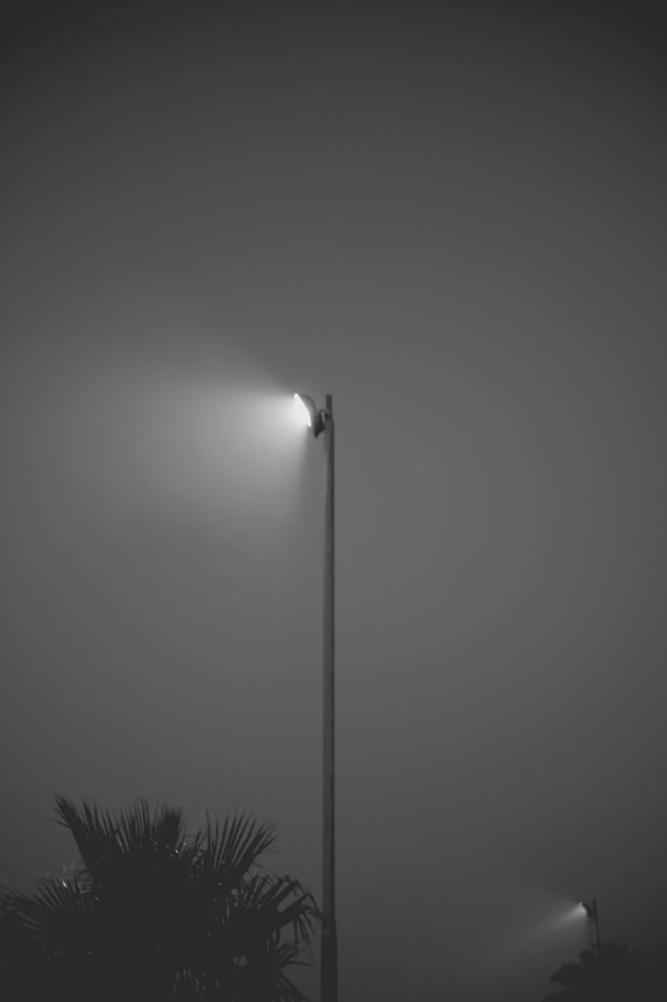 2022-02-15 - Cape Town - Lights in the mist